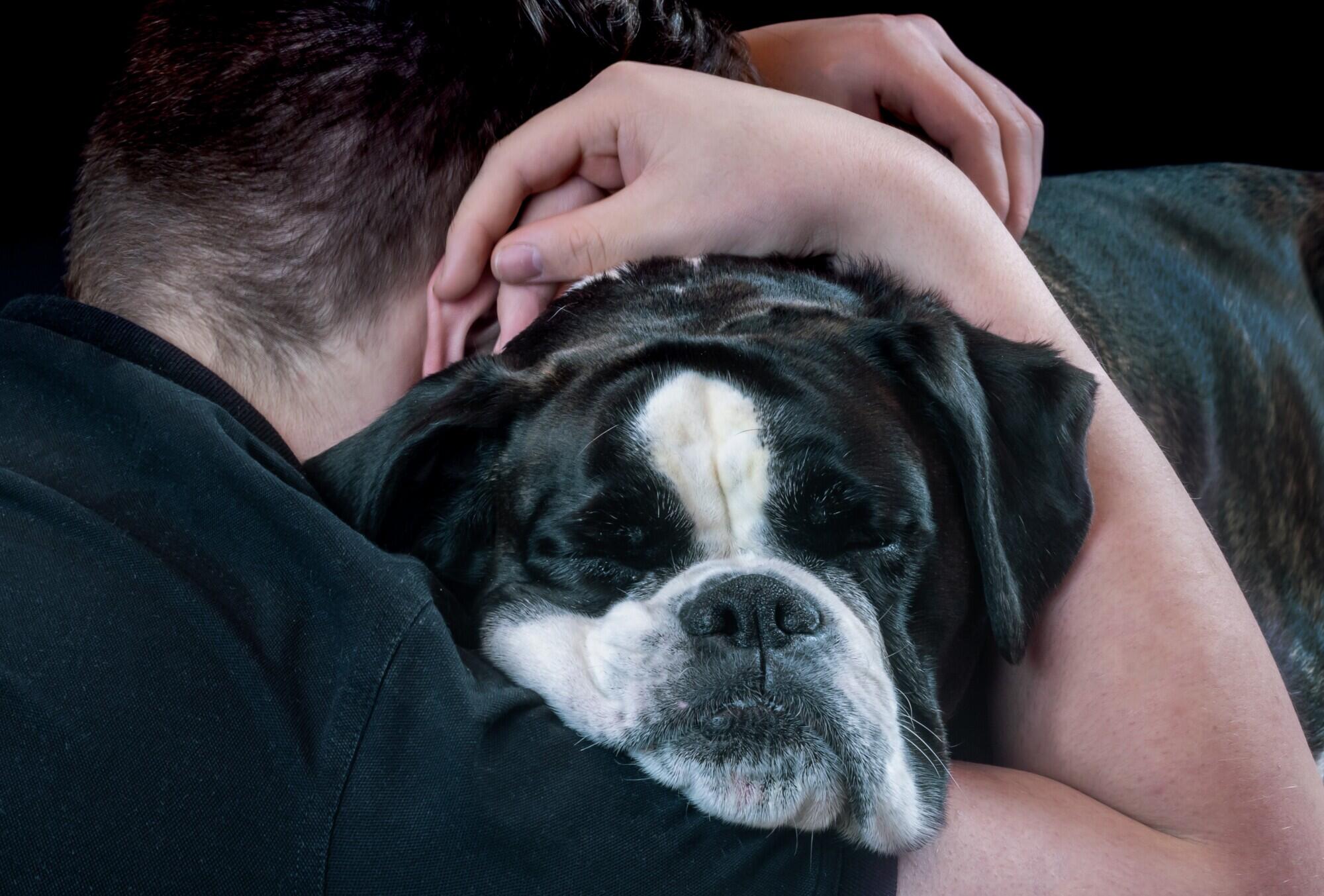 Difference Between Service, Emotional Support Animals and Pets